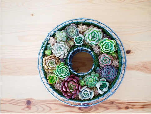 ca175d5acb5687cbcc3713529f4e61