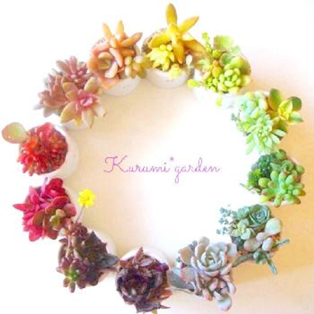 1474933912476_thum_1474933912186_thum_tmp