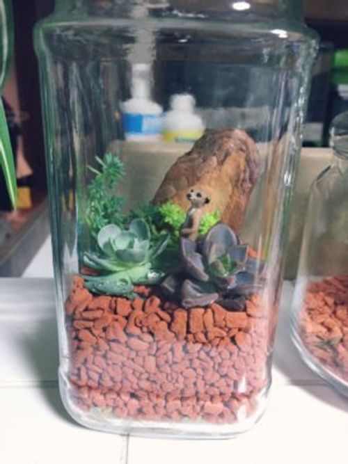 鉢の代わりに寄せ植えに使える容器をご紹介 Greensnap グリーンスナップ 鉢の代わりに寄せ植えに使える容器をご紹介 Greensnap グリーンスナップ