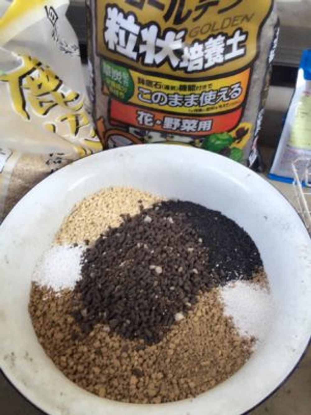 Photo by MaruLorettaさん@GreenSnap