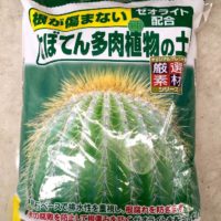 多肉植物におすすめの土をご紹介します！の画像