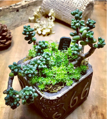 スクリーンショット 2016-12-16 14.31.19