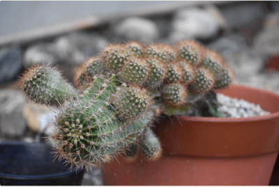 スクリーンショット 2016-12-16 14.50.04