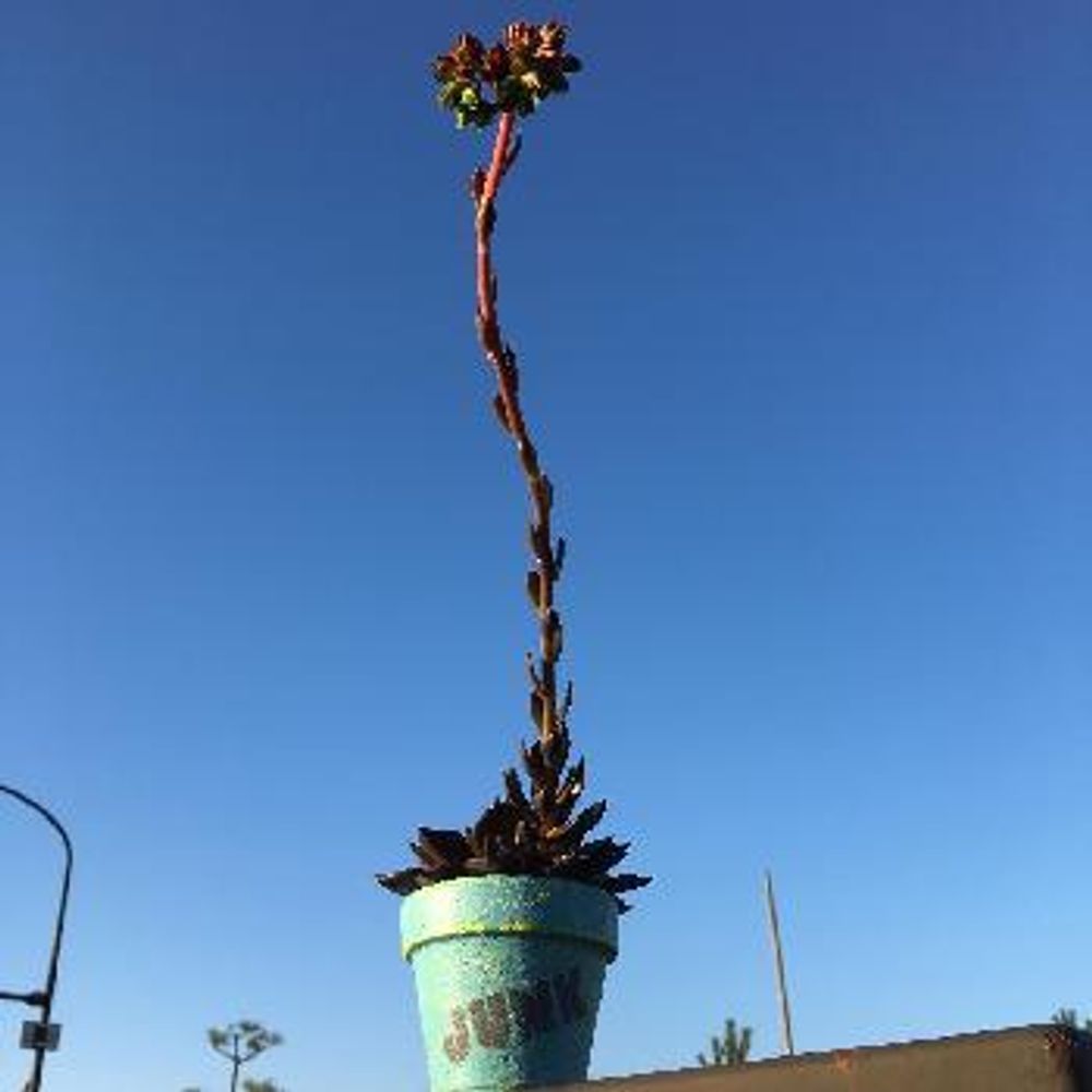 1481274059386_thum_1481274058858_thum_tmp