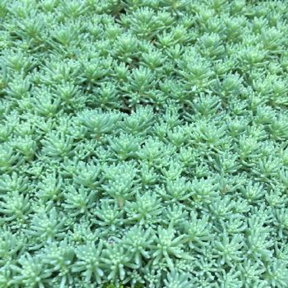 1465285007990_thum_1465285007448_thum_tmp