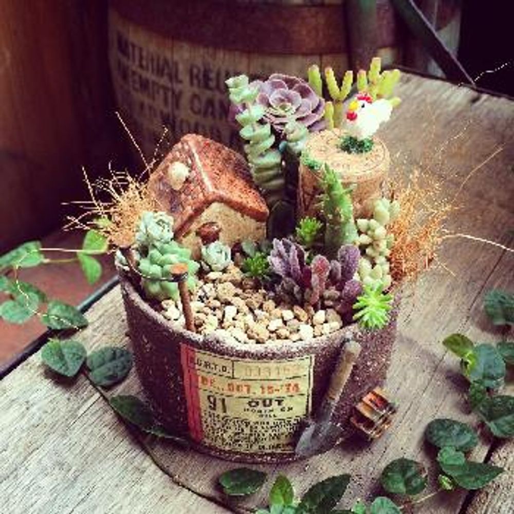 1480218522042_thum_1480218521540_thum_tmp