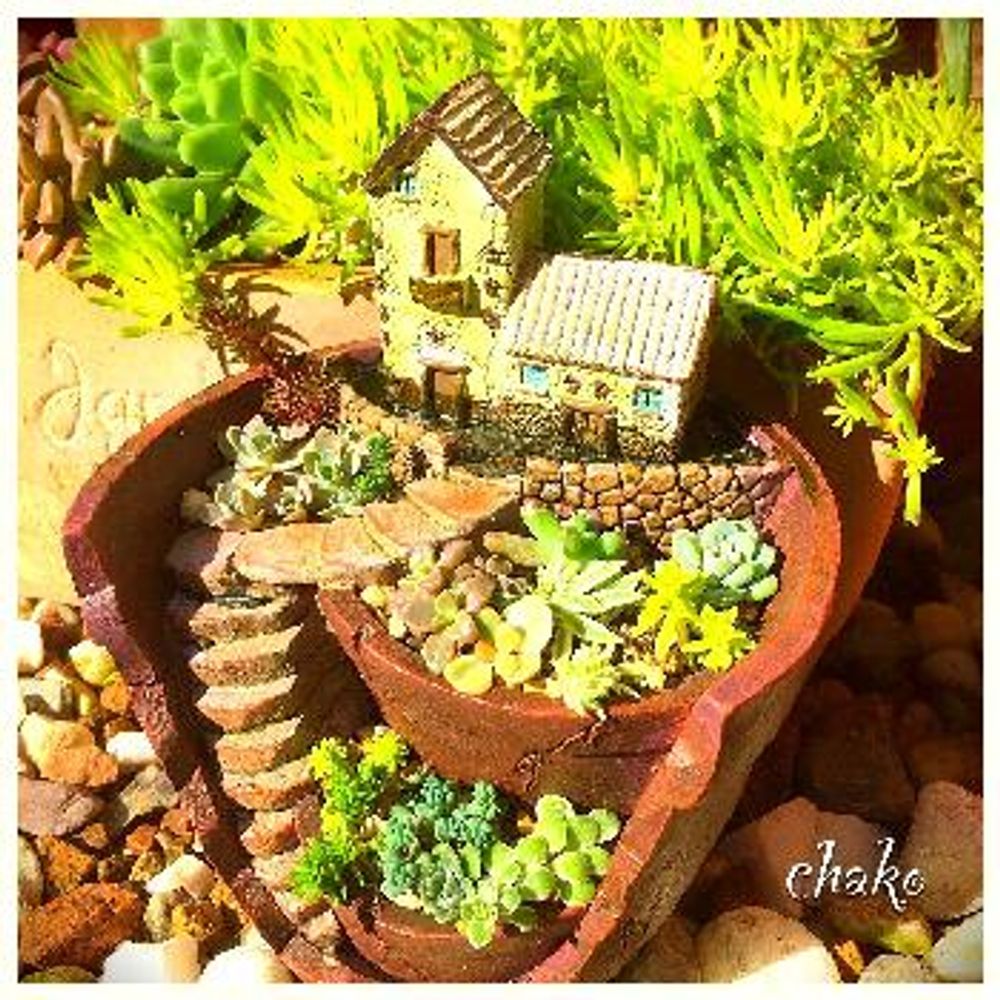 1479931750354_thum_1479931749776_thum_tmp