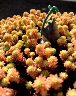 スクリーンショット 2016-12-22 16.03.12