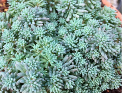 スクリーンショット 2016-12-22 16.09.21