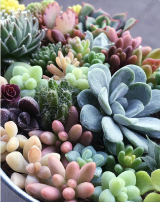 スクリーンショット 2016-12-22 16.13.20