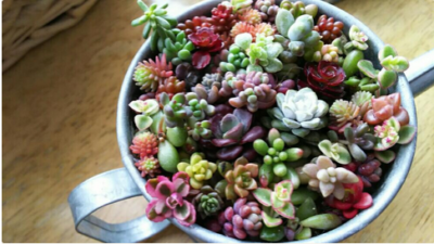 スクリーンショット 2016-12-22 16.20.36