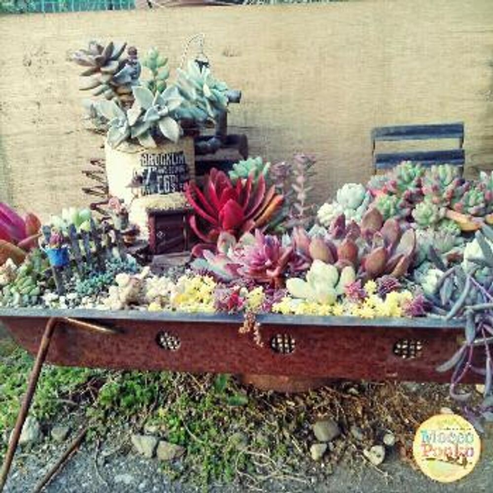 1483704458709_thum_1483704458116_thum_sample