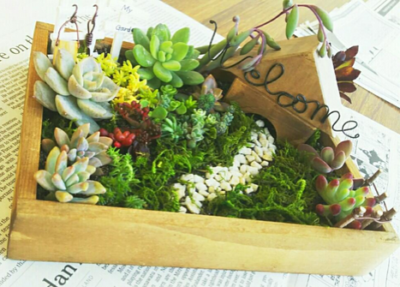 スクリーンショット 2017-01-29 15.55.44