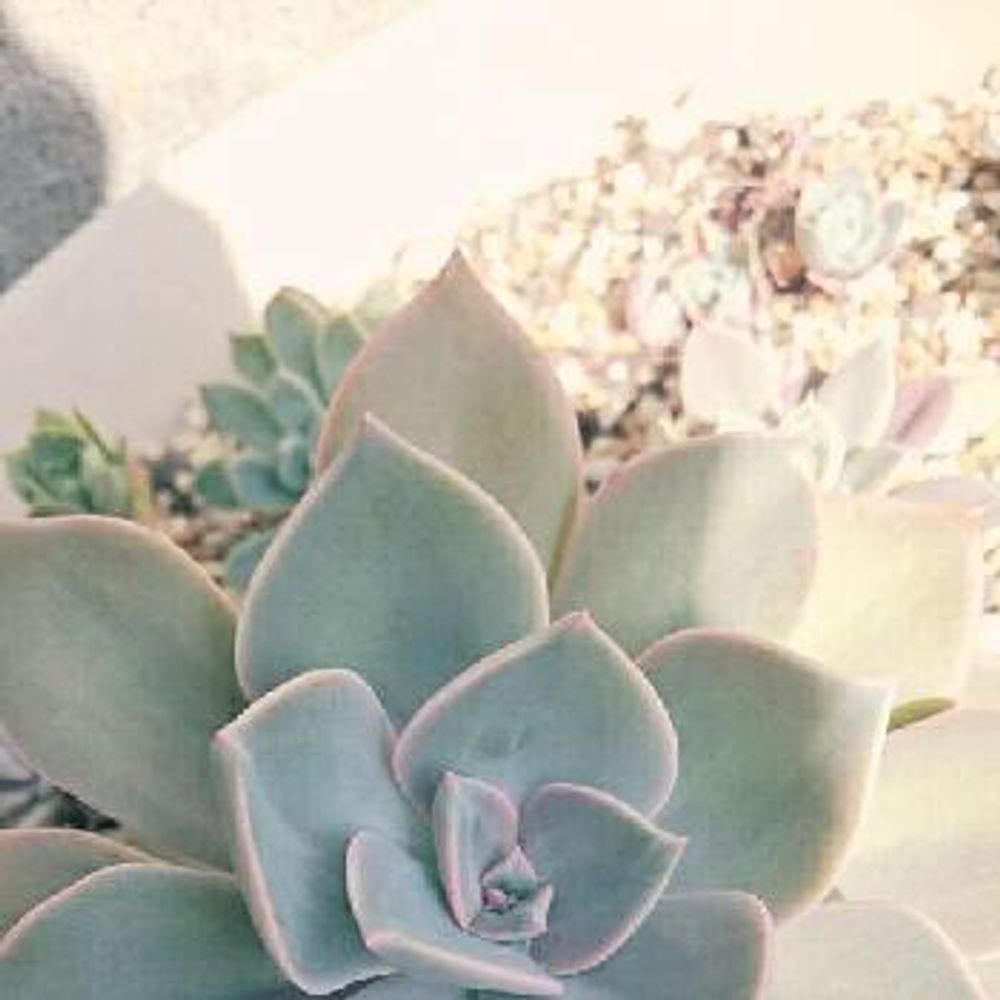 Photo by わらびさん