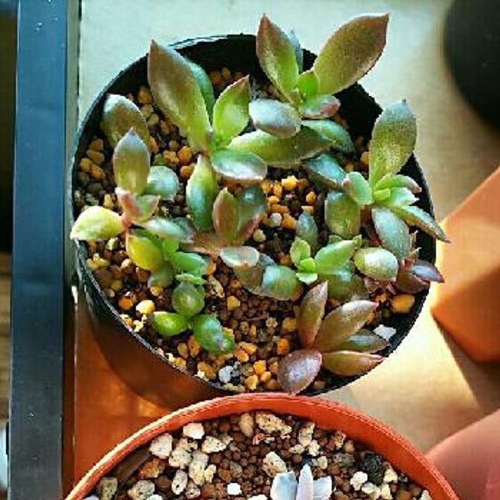 Photo by りんさん