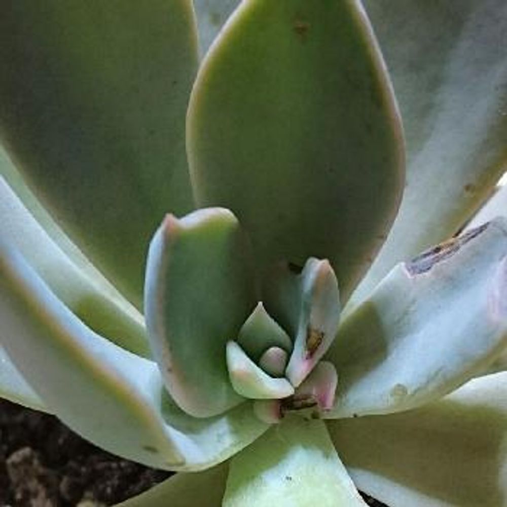 Photo by シェリーさん