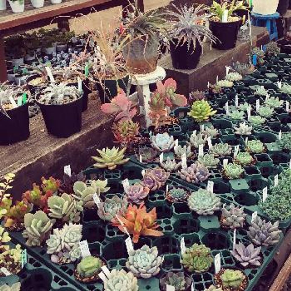 Photo by Riokoさん