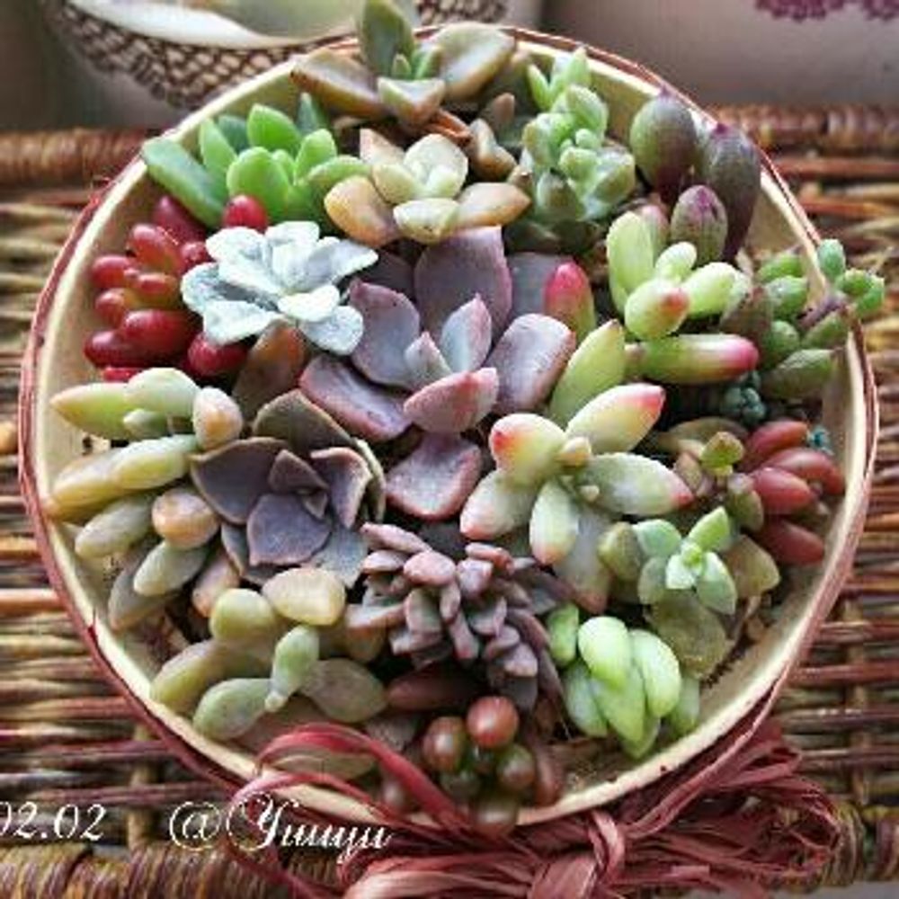 Photo by ゆうゆさん