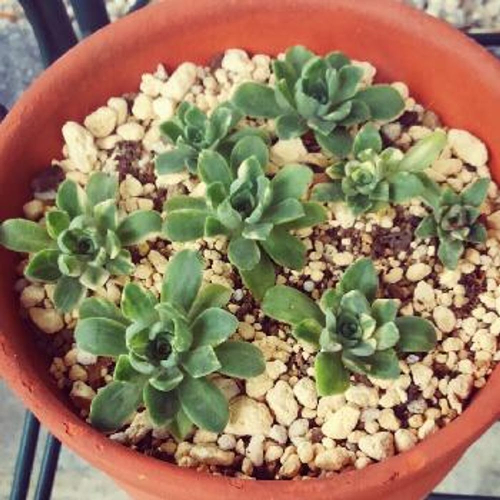 Photo by yukaringさん