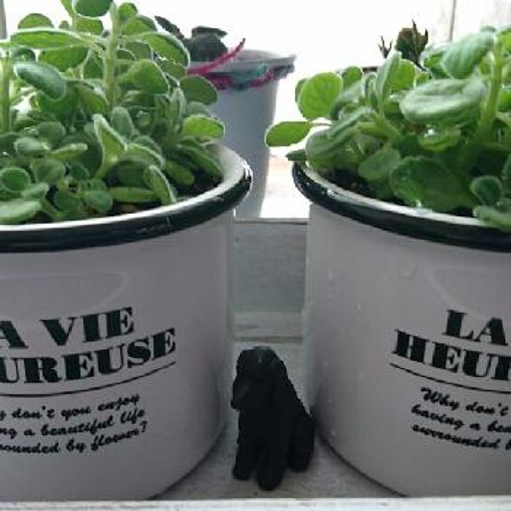 Photo by kawokawoさん