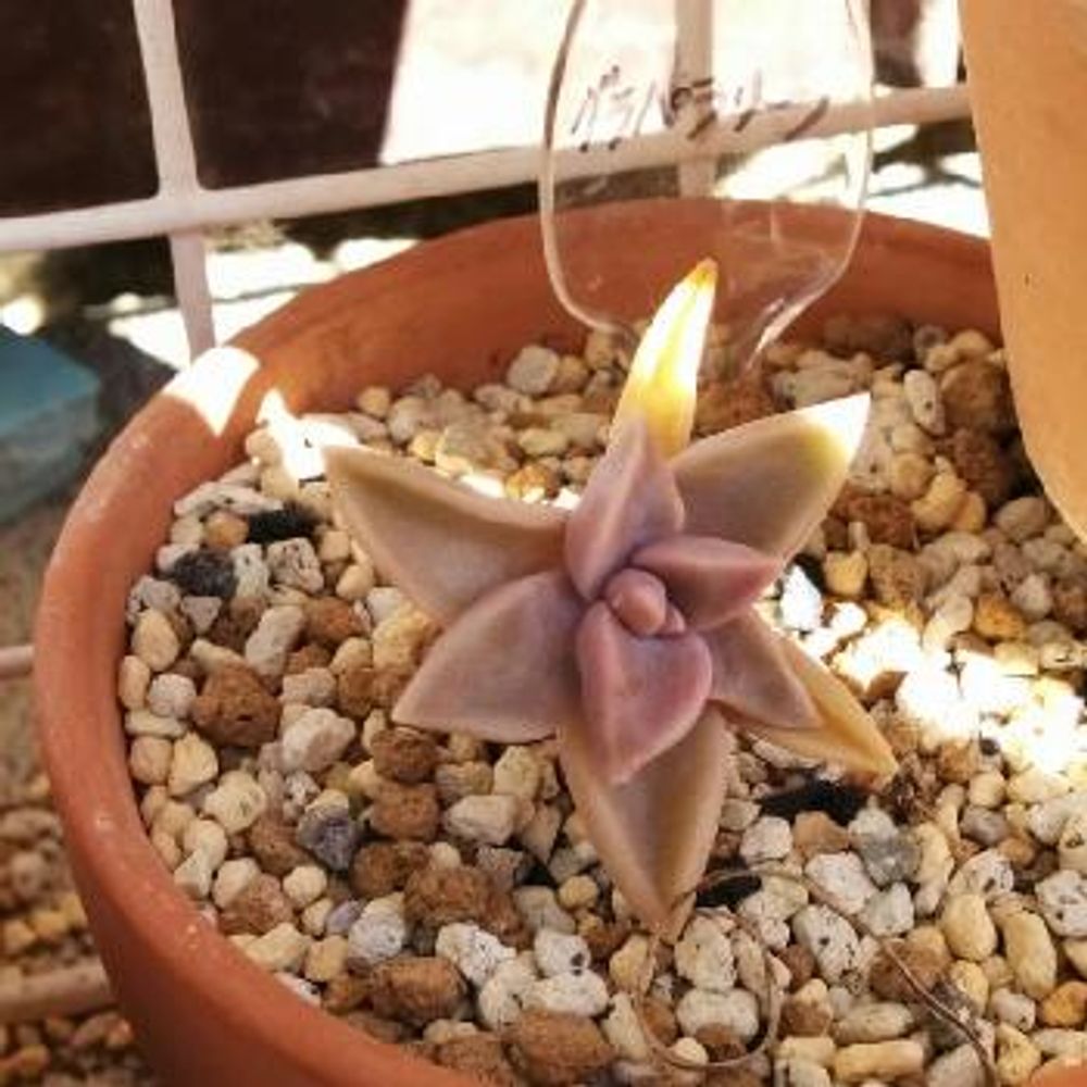 Photo by あおい32さん