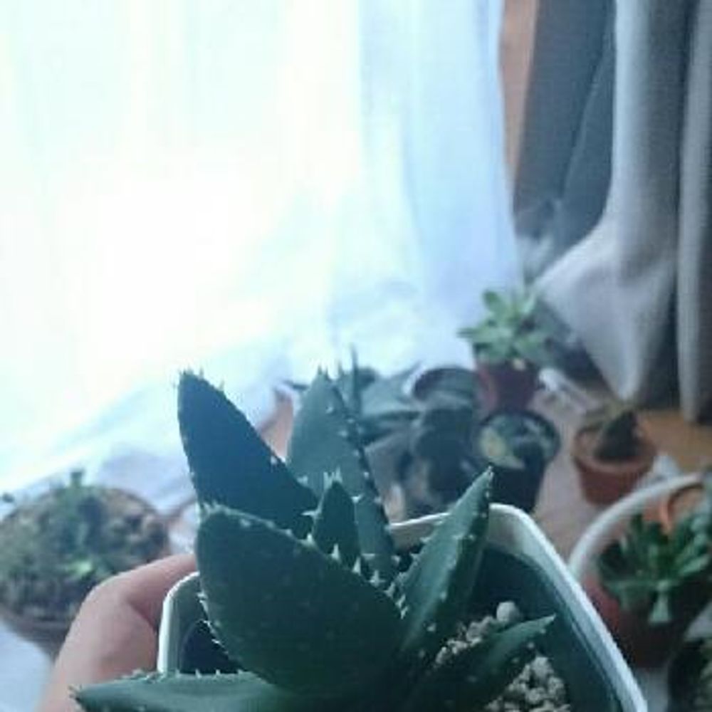 Photo by sword.tyさん