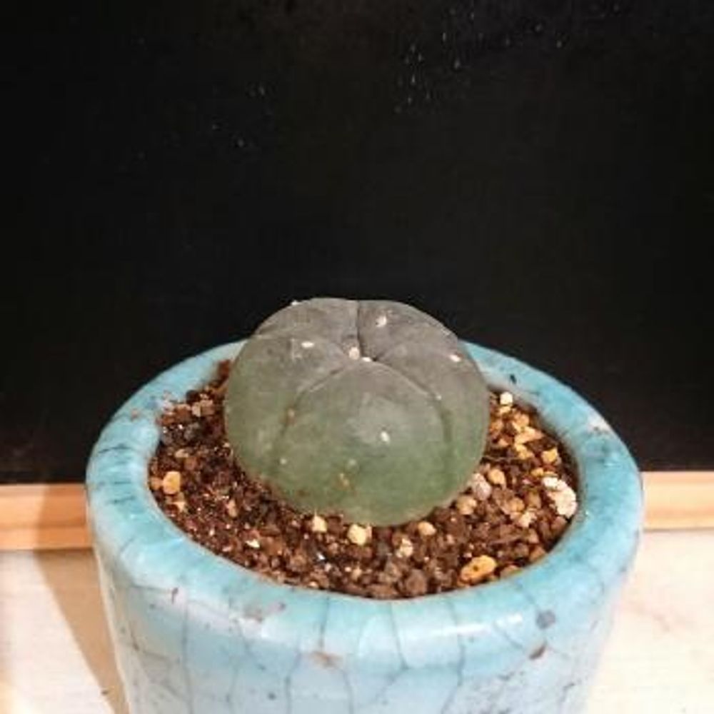 Photo by masasaさん