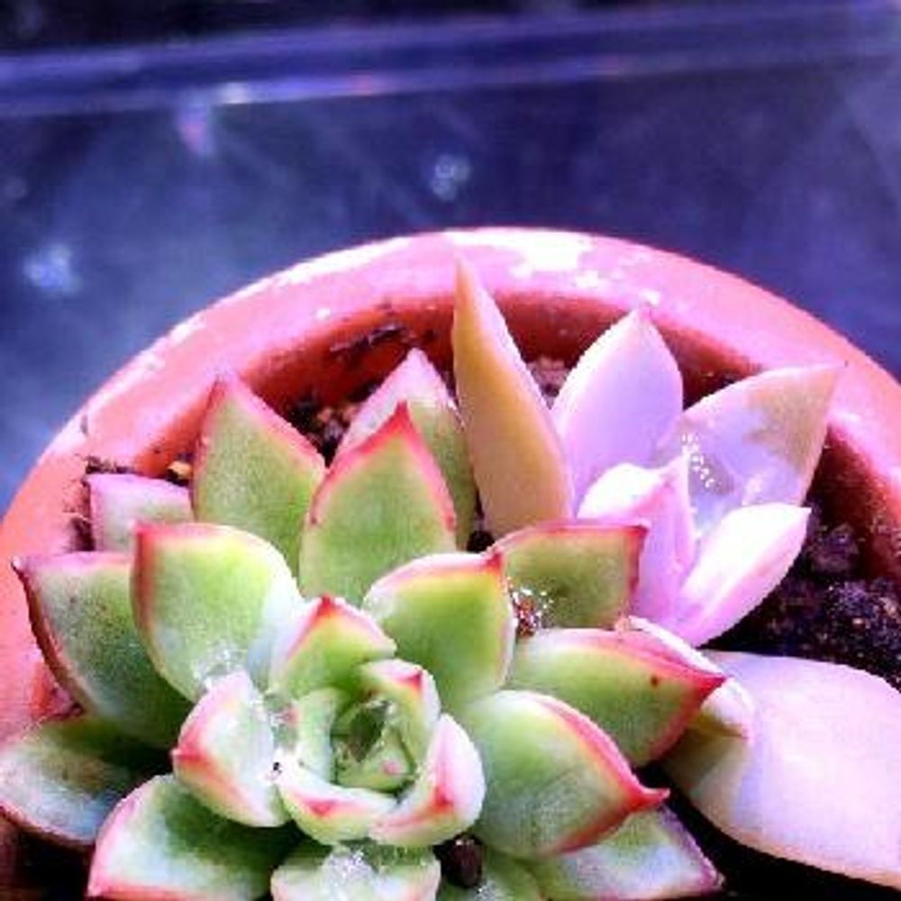 Photo by だぃさん