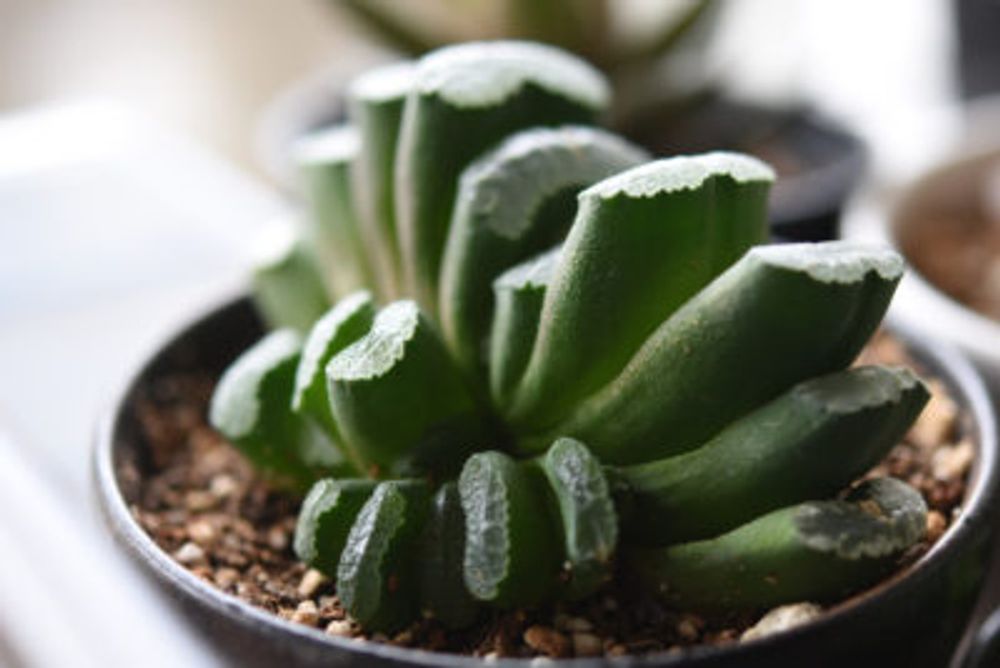 Photo by ekko.yさん