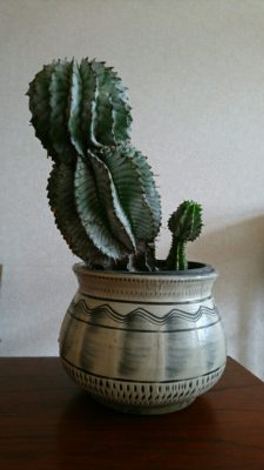 Photo by にくたまさん