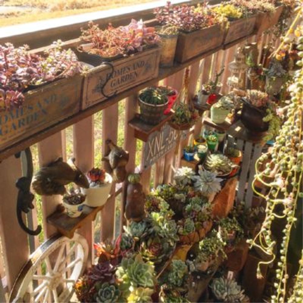 Photo by moongardenさん