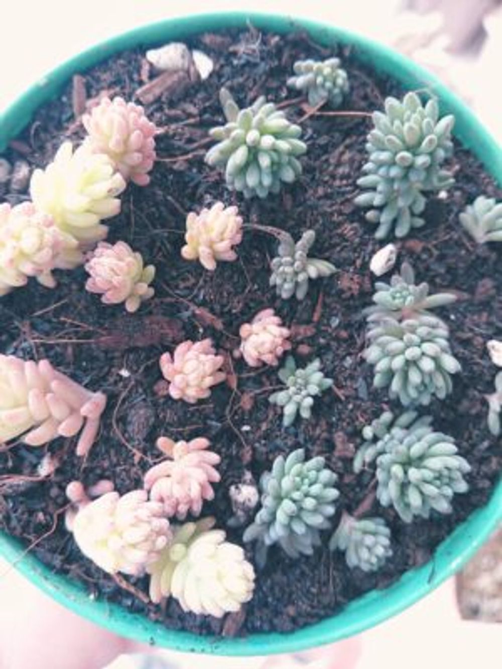 Photo by きららさん