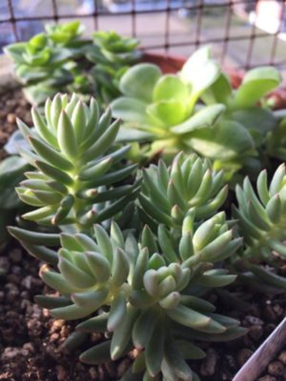 Photo by ぷぅさん