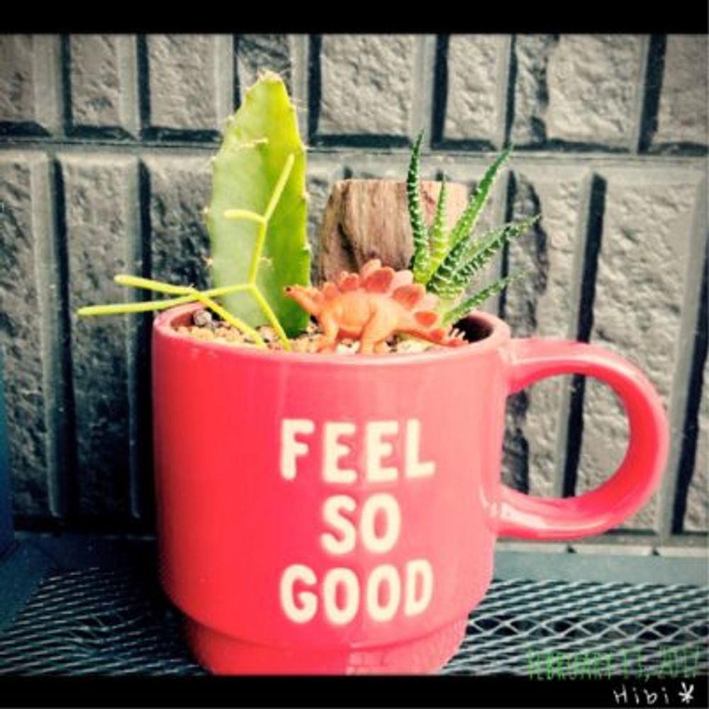 Photo by Hibi＊さん