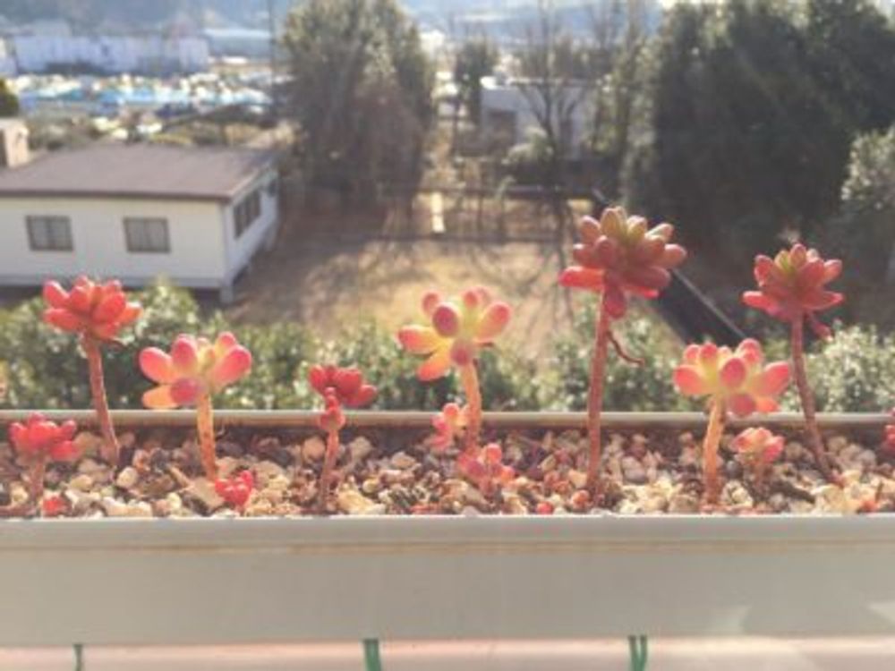 Photo by nayukiさん