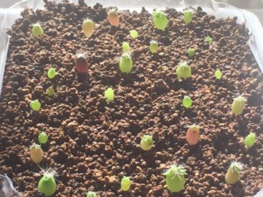 Photo by missyuさん