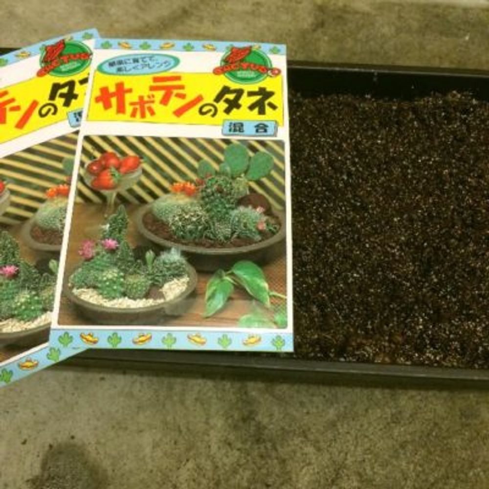 Photo by サボテンジャンキーさん