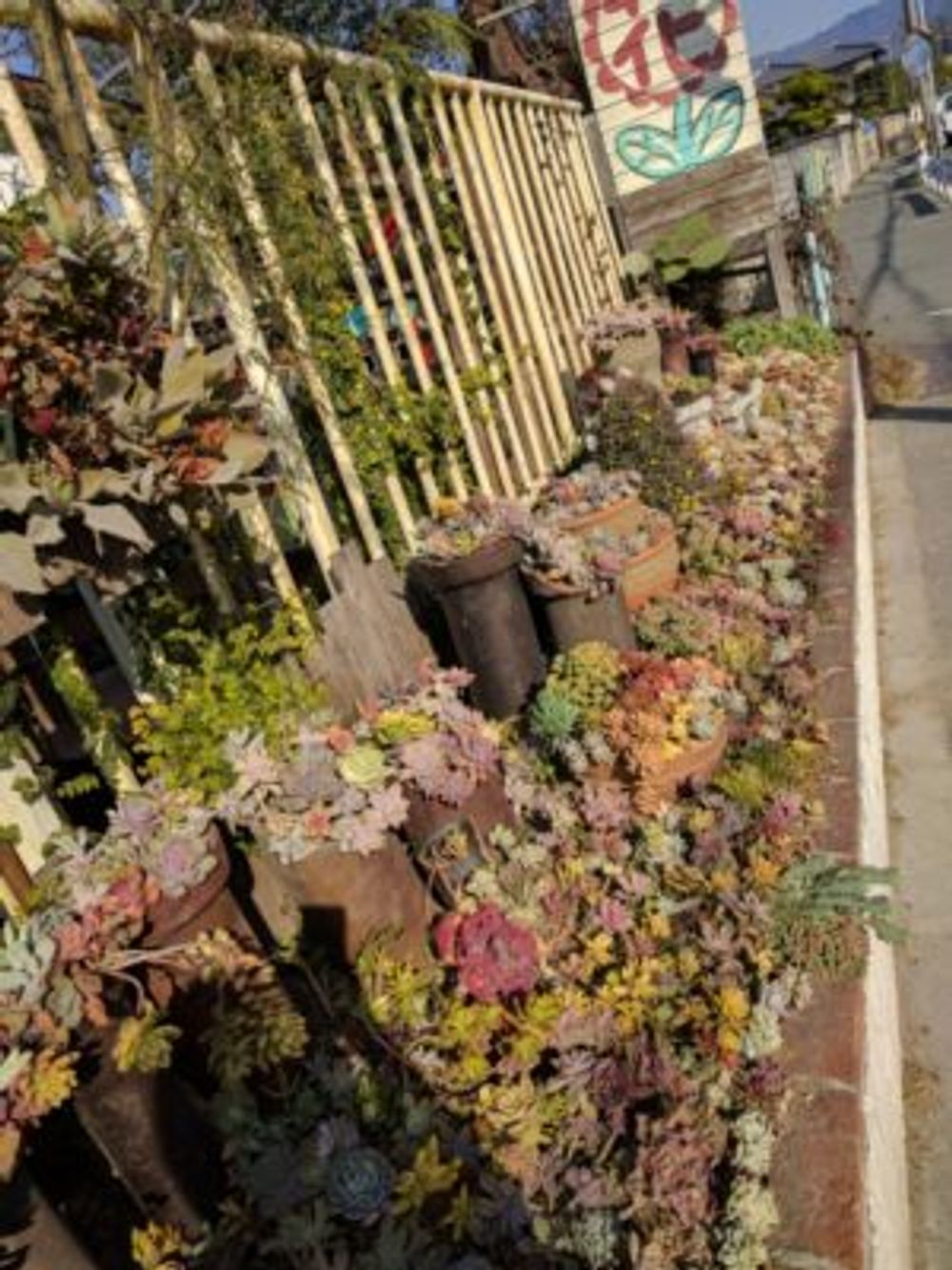 Photo by cocomaさん