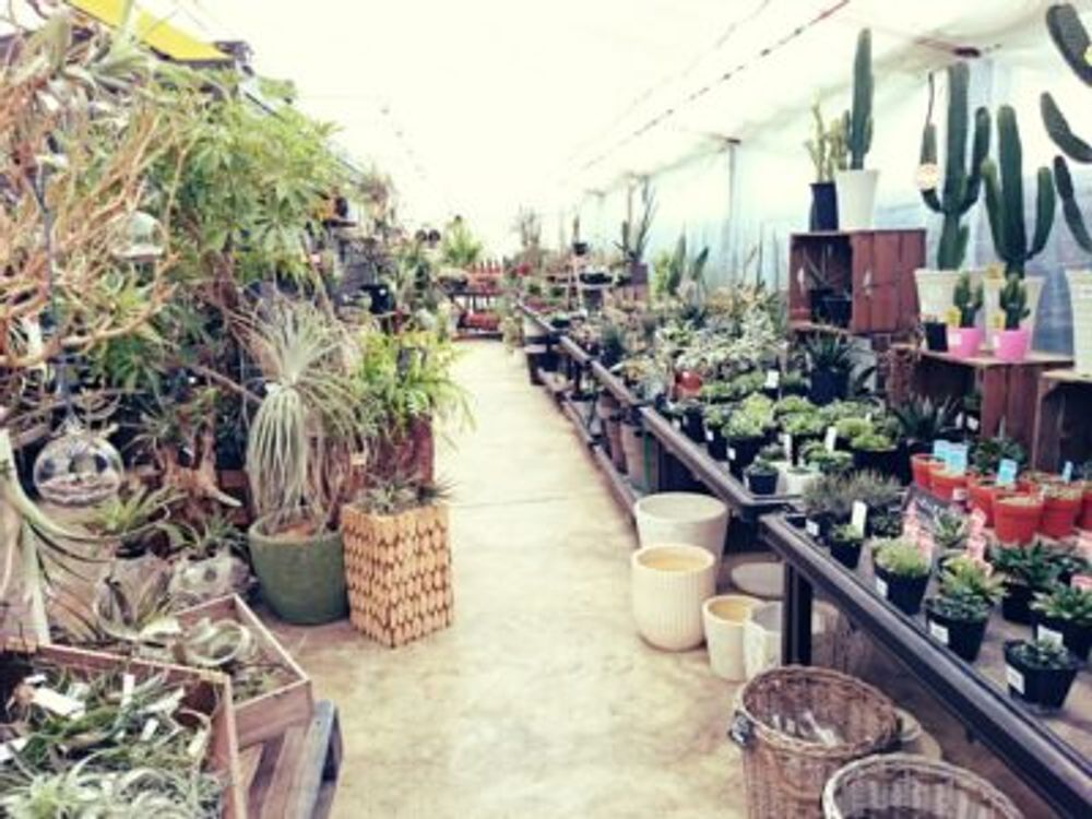 Photo by 38BASEさん