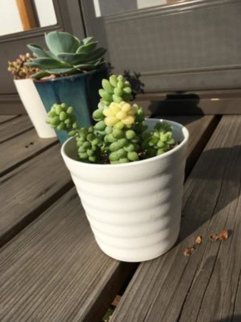 Photo by ココフゥさん