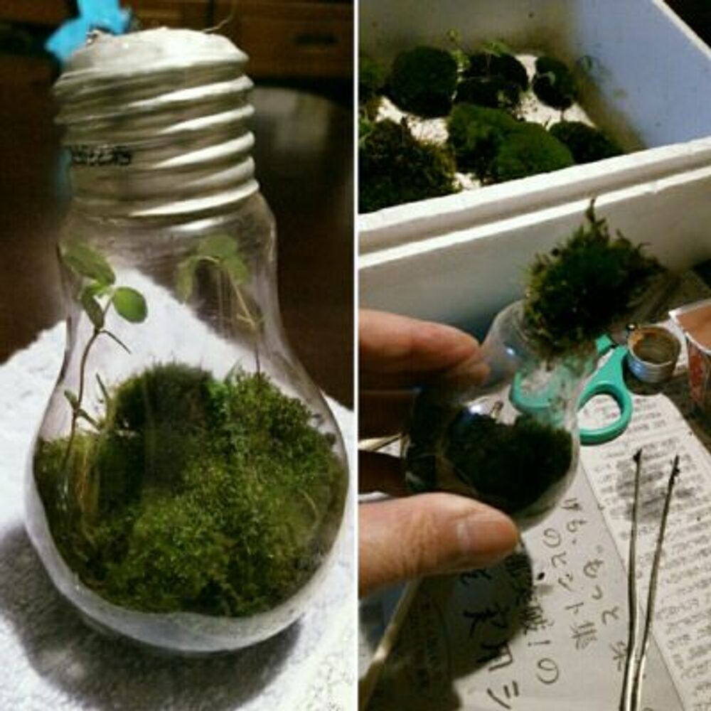 Photo by クロエさん