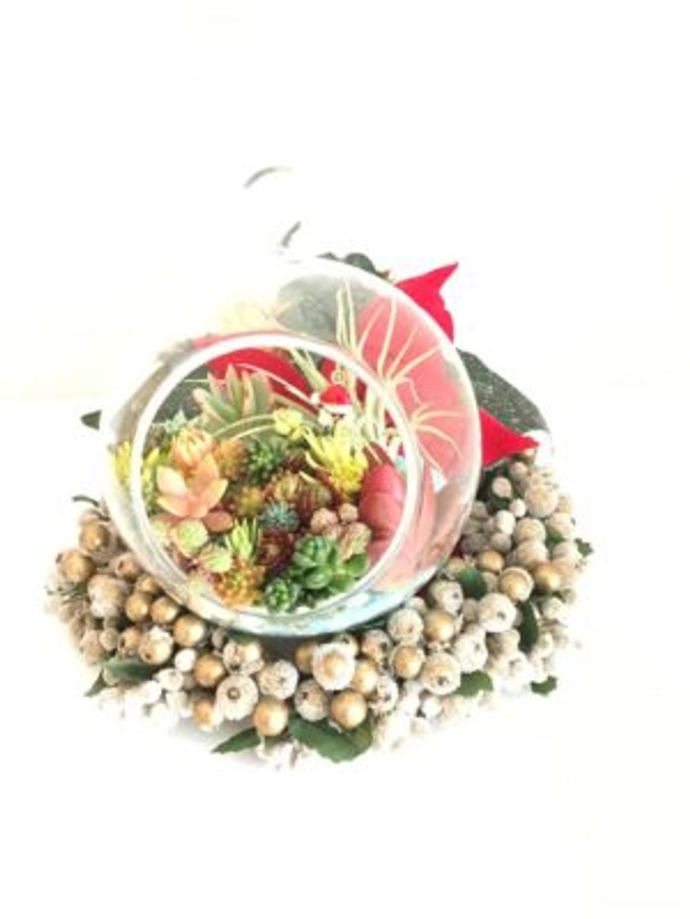 Photo by アリエルさん