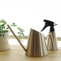 多肉植物の植え替えと鉢選びのコツ!の画像