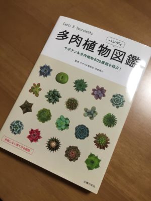 最新のデザイン 多肉植物ハンディ図鑑 : サボテン多肉植物800種類を