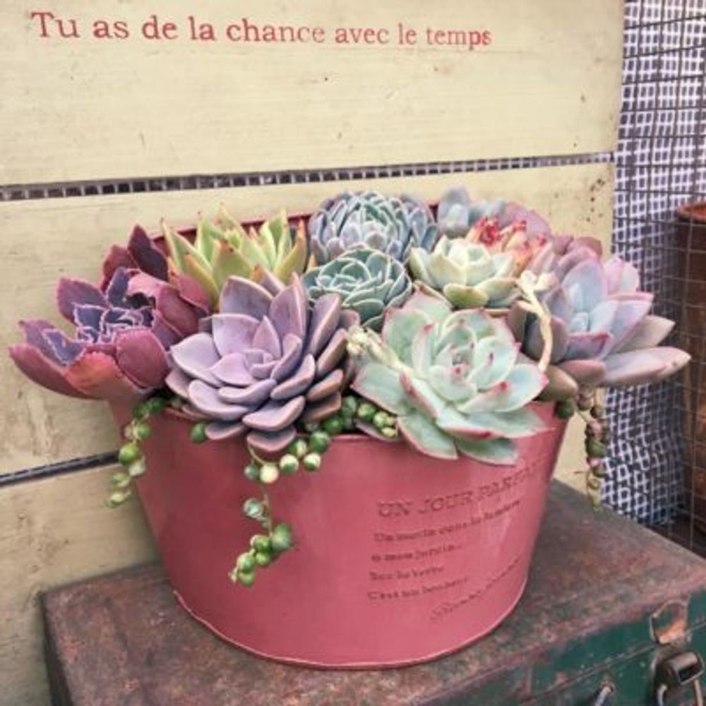 Photo by みにぃぃさん