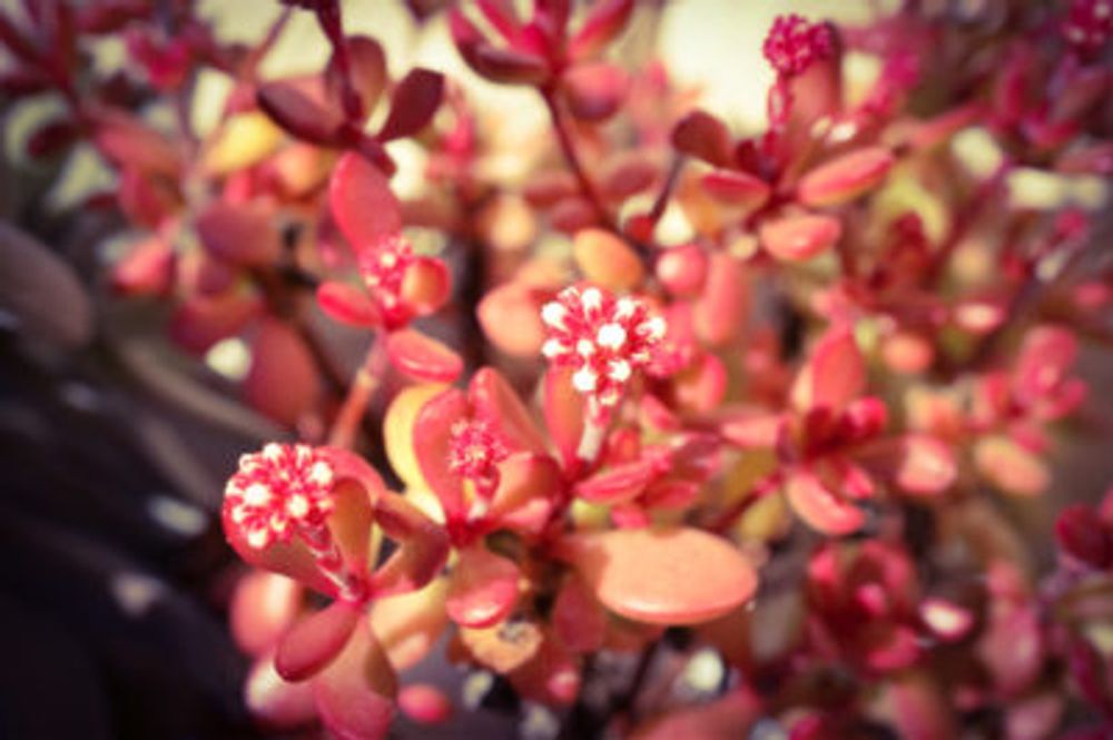 Photo by ぽかぽかなおさん