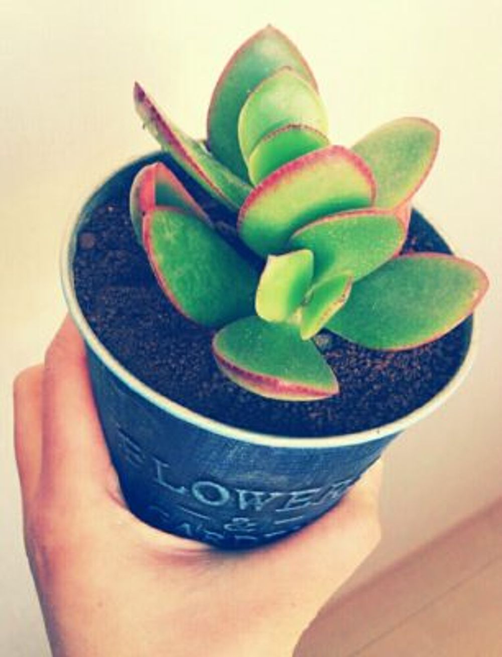 Photo by うにさん