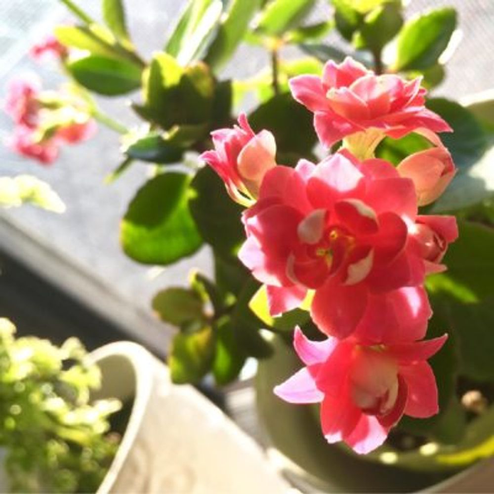 Photo by hiromiさん