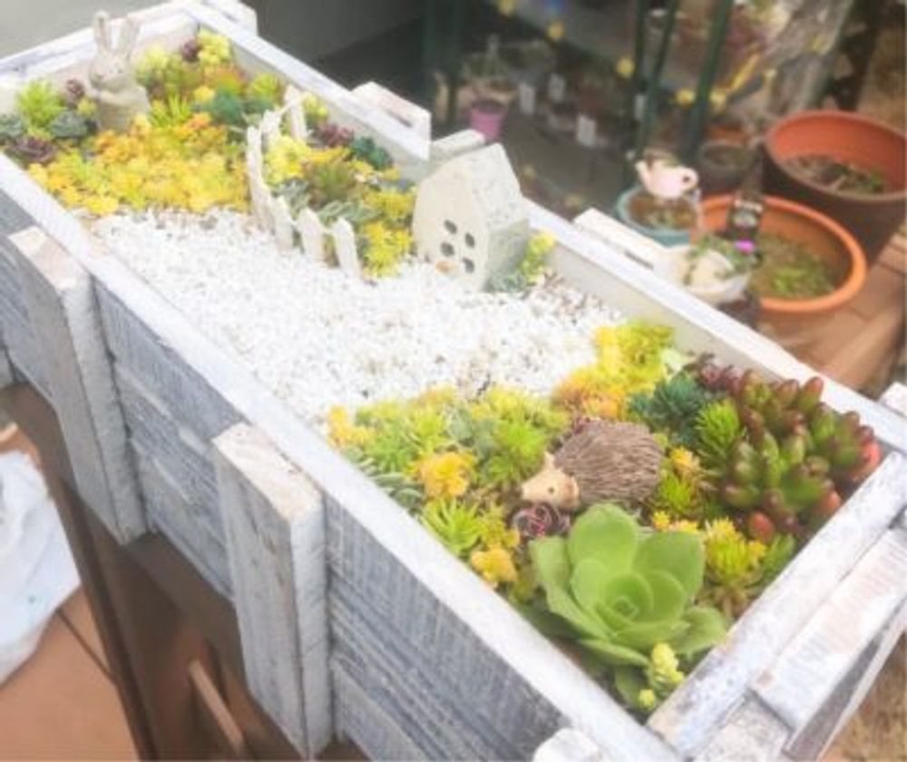 Photo by coppiさん