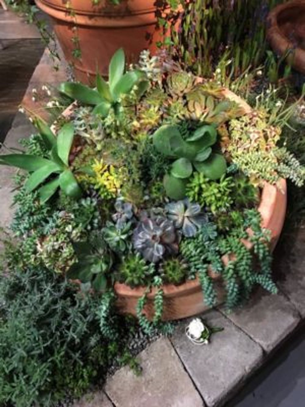 Photo by タラコさん